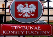 Skarga konstytucyjna osoby, której wolności lub prawa zostały naruszone